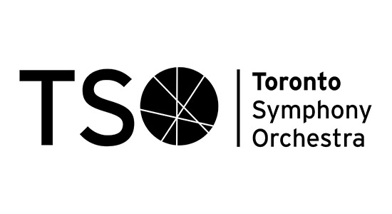 logo-tso